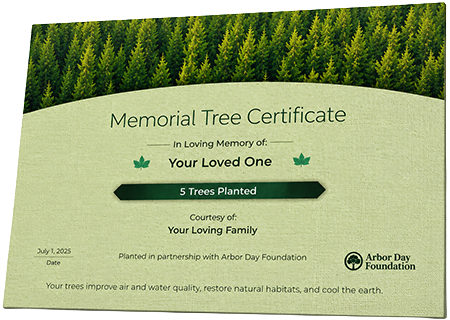 Plant Trees in Memory of MR. CHARLIE HENRY WALL